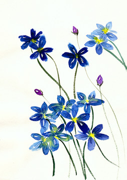 藍(lán)色的小花