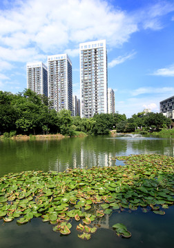 重庆湖景三号