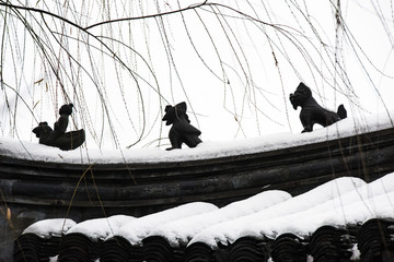 雪中屋顶