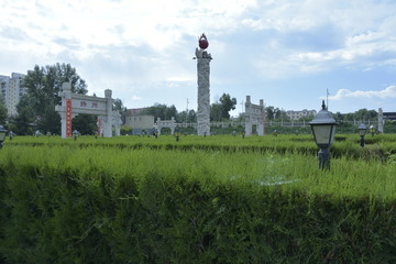 侧柏生态建设生态园