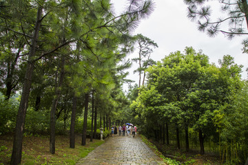 浙江宁波鄞州天童寺古香道