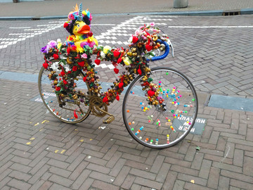 荷兰自行车