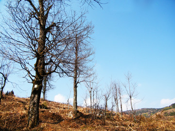 隆回虎形山瑶族村寨