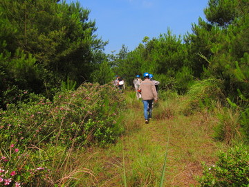 山区电力