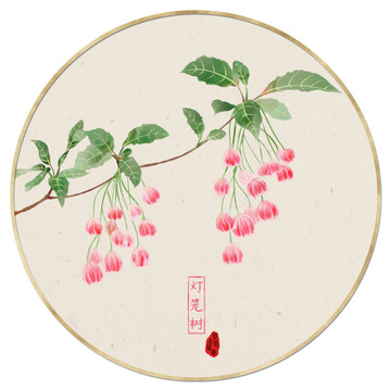 燈籠樹