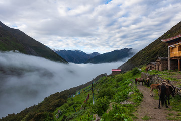 贡嘎寺云海