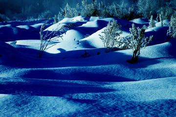 雪景