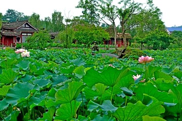 荷花山庄