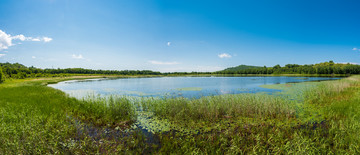 桃山湖