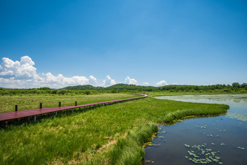 桃山湖