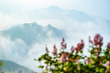 冰山梁云海