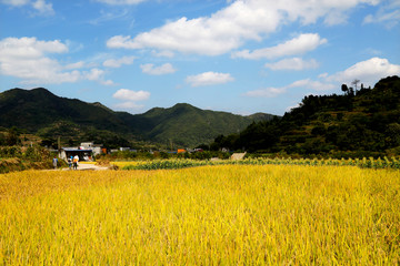 浙江台州天台南屏前杨村