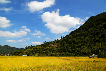 浙江台州天台南屏前杨村