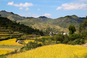 浙江台州天台南屏前杨村