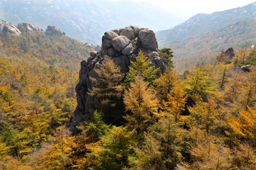 山东青岛金秋的崂山风光