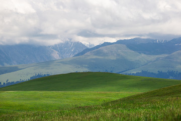 新疆天然牧场那拉提牧场