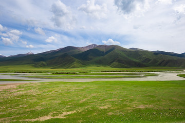 新疆高山草原那拉提草原