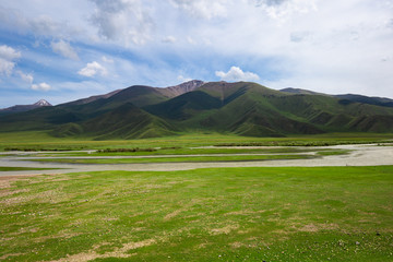 新疆高山草原那拉提草原