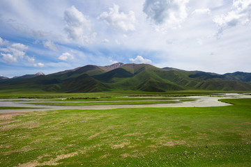 新疆高山草原那拉提草原