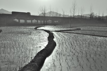 田间小路