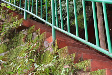 森林石梯台阶
