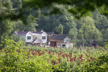 山里人家