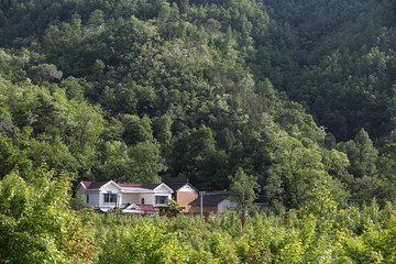 山里人家