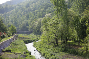 山村石桥