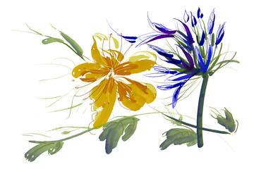 優(yōu)雅的花