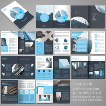 企業(yè)畫冊(cè)