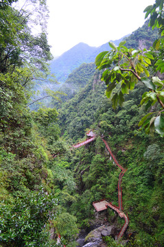 登山道