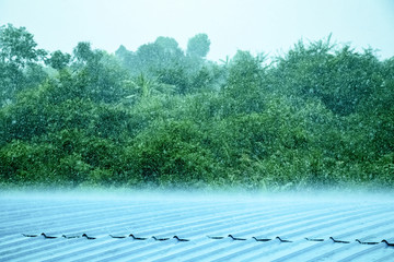 狂风暴雨