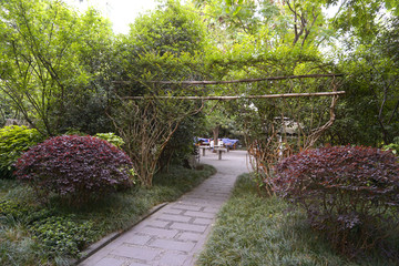 成都市文化公園茶園
