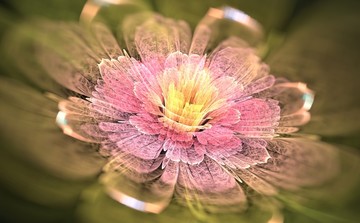 花卉裝飾畫