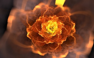 花卉裝飾畫