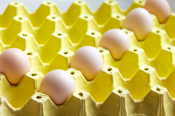 鸡蛋对勾对号