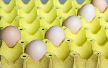 鸡蛋对勾对号