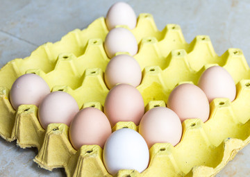 鸡蛋箭头egg箭头