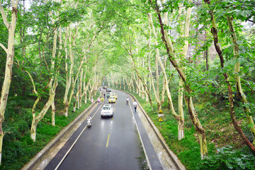 雨后道路