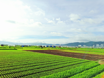 田园风光