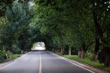 绿色隧道