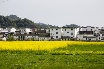 江西上饶婺源田园风光