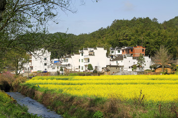 江西上饶婺源思溪延村景区