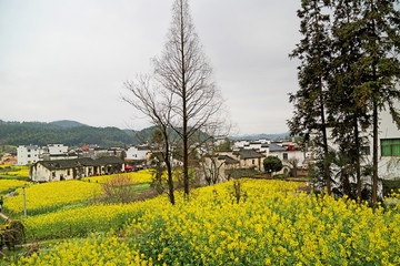 江西上饶婺源思溪延村景区