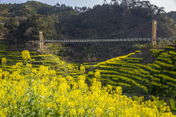 上饶婺源篁岭景区油菜花梯田