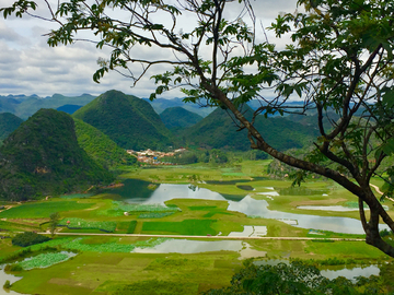 普者黑风景