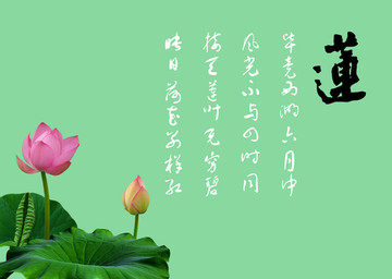 畢竟西湖六月中