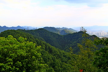 重庆南山群峰