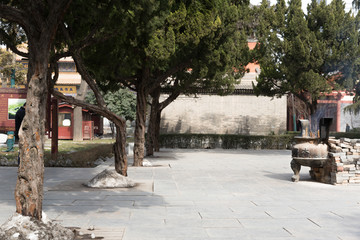 大兴善寺庭院