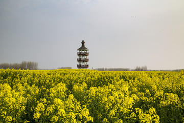 江苏泰州兴化千垛风景区